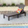 Machiel Outdoor Chaise Lounge