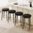 Dining Chairs-1891750961