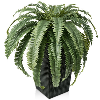 Adcock 30" Fern Plant in Decorative Vase
