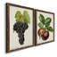 Antique Fruit VIII - Ensemble de 2 reproductions d'art sur toile-1352268774-1352268568