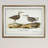 " Aviary Sketch III " Graphic Art Print-28043097-28043025-28043103