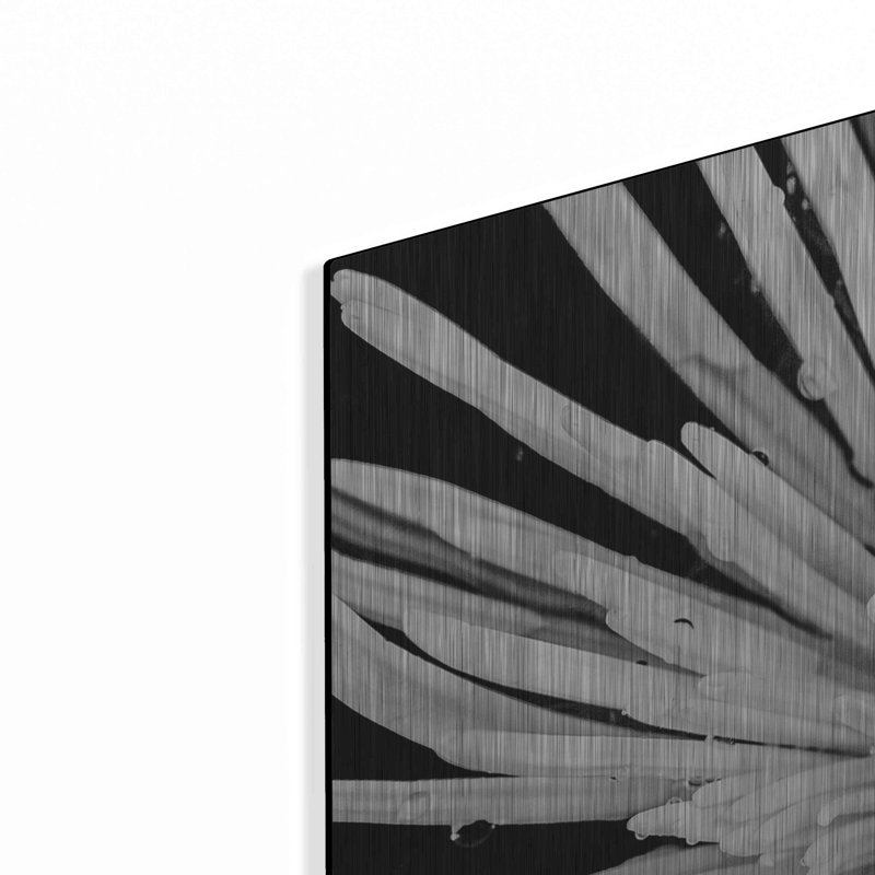 «Black and White Love» par Donnie Quillen, H 36 po x l 36 po