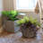 2-Piece Modern Assorted Square Gray Polyrattan Indoor Planter with Liner-443964350