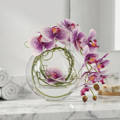 Orchid and Vine Arrangement in Glass Vase