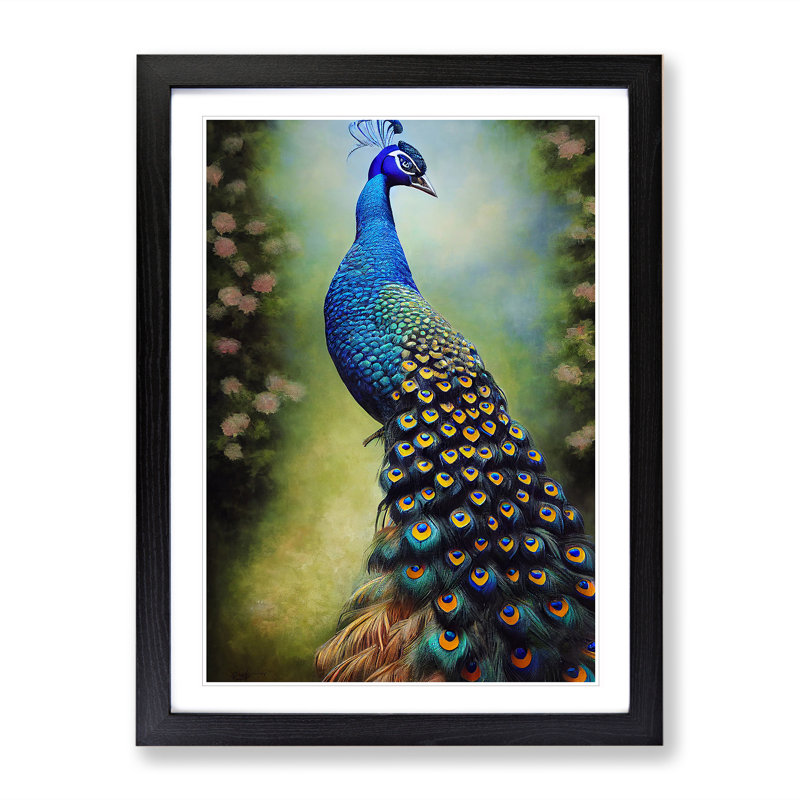 View Of A Peacock No.2 - Single Picture Frame Print, Black Framed, 46cm H x 34cm W x 2cm D