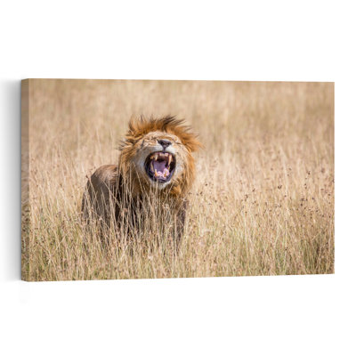 Powerful Lion Roar Contemporary Cat Lion Nature Wildlife Wall Art Print by Jeffrey C. Sink - 1 Piece Wrapped Canvas Wall Art