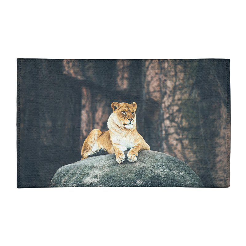 Tapis de zone beige lioness chenille, Rectangle 3 pi x 5 pi