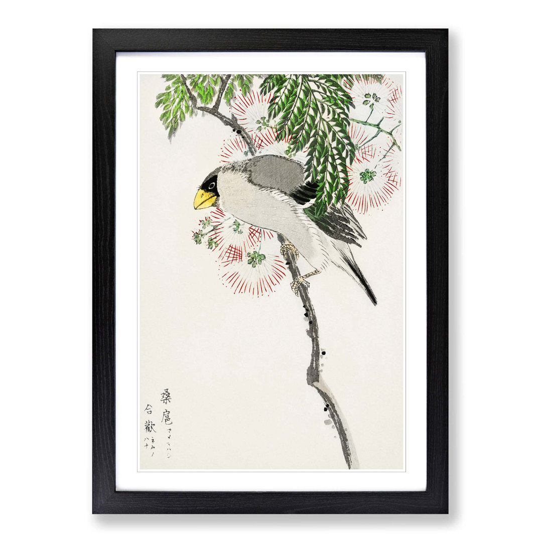 Masked Hawfinch & Silk Tree by Numata Kashu - Framed Print