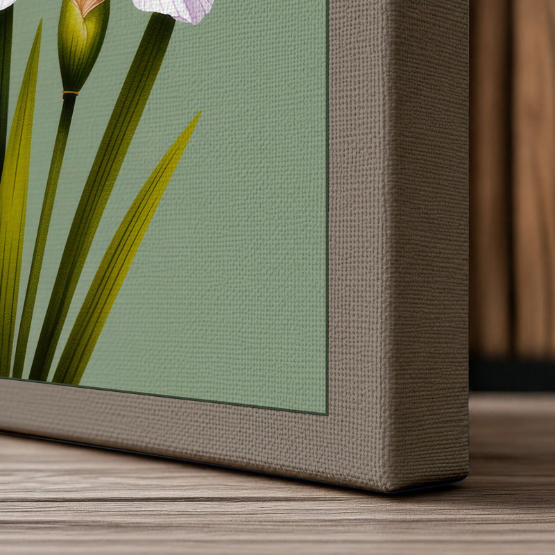 Ruffled Iris Study Botanical 1 Piece Wrapped Canvas Wall Art, 30x20 - 76.2 x 50.8 cm, Taupe Border