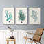 Ensemble de 3 pièces encadrées sur toile Antique Coastal Coral IV-97760321-97760322