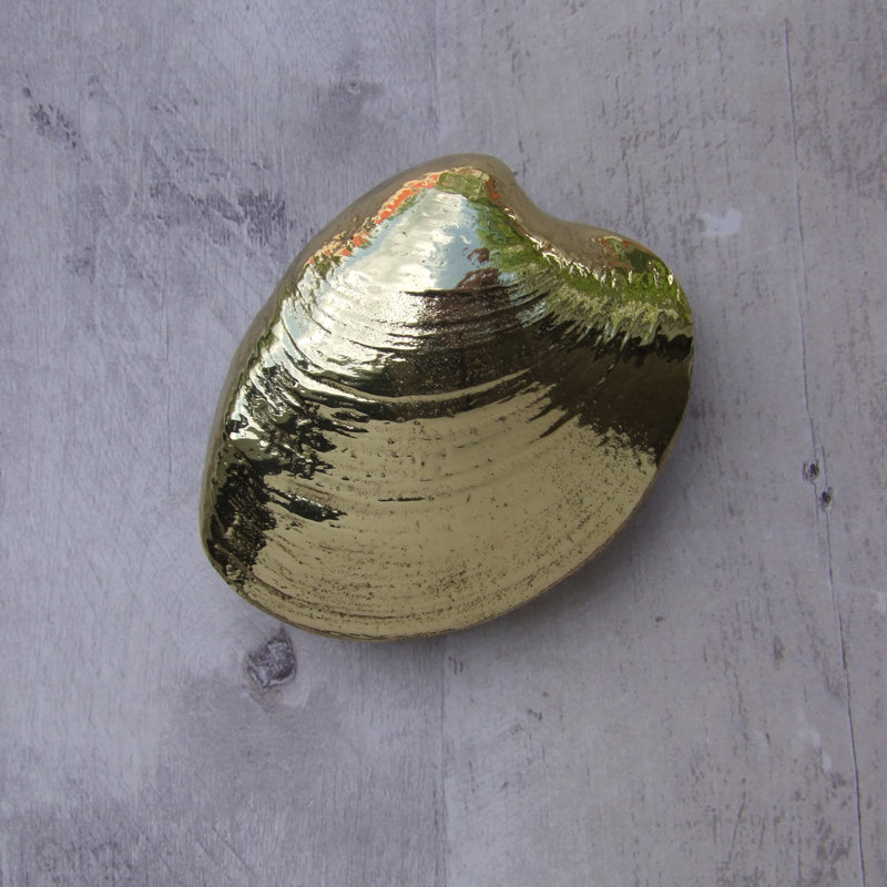 Polished Brass Bumblebee Door Knocker with Black Accents
