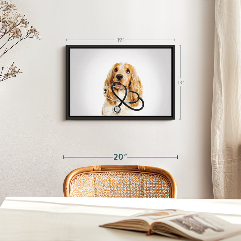 Animal «Doctor Dog», H 13 po x l 19 po