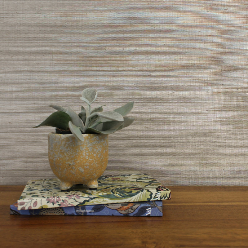 Papier peint sisal monochromatique Authentic Grasscloth, Taupe / argent