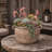 Hooge Textured Stoneware Jug Planter-2098373671-2110759079