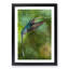Green Hermit Hummingbird - Picture Frame Painting Print-56740066-56740072