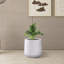 Pot à fleurs Sykes-1244873190