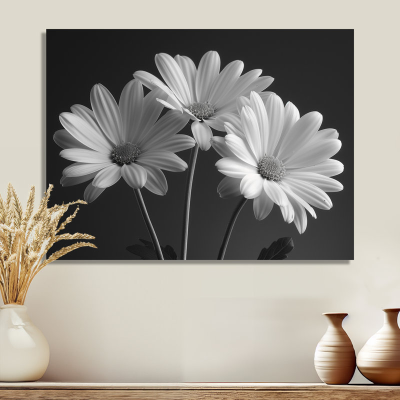 Monochrôme noir et blanc, bonheur, photo IV - marguerites, art mural, Métal métal, H 16 po x l 32 po