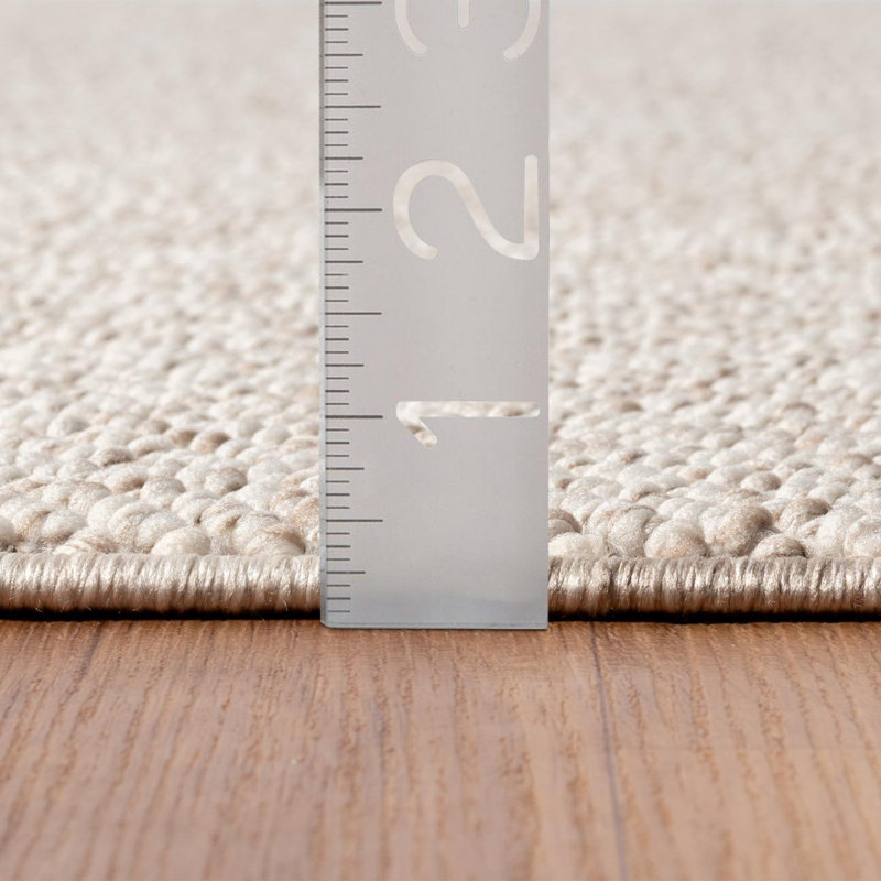 Textured Fringed Area Rug, Rectangle 8' x 10', Cream