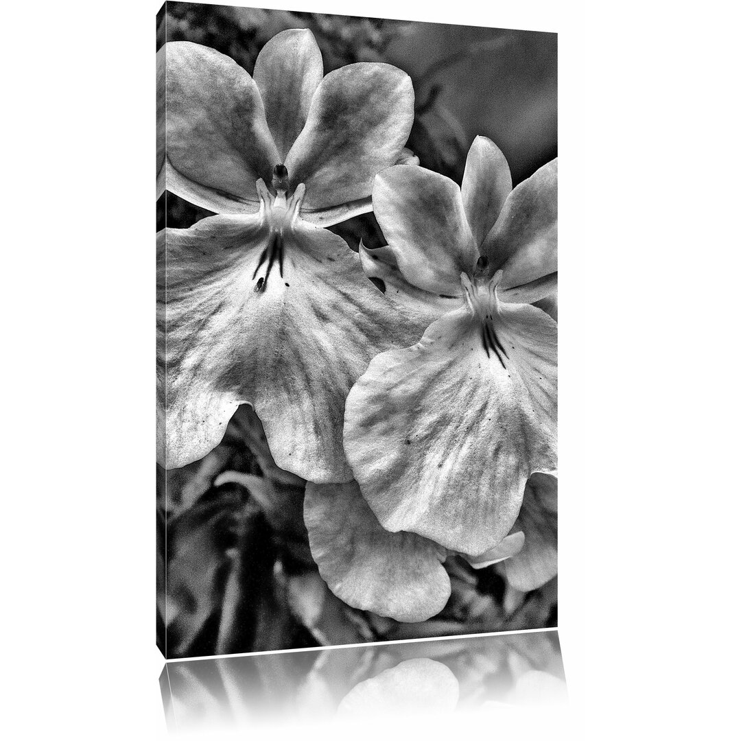 Leinwandbild Außergewöhnliche Blüte in Monochrom