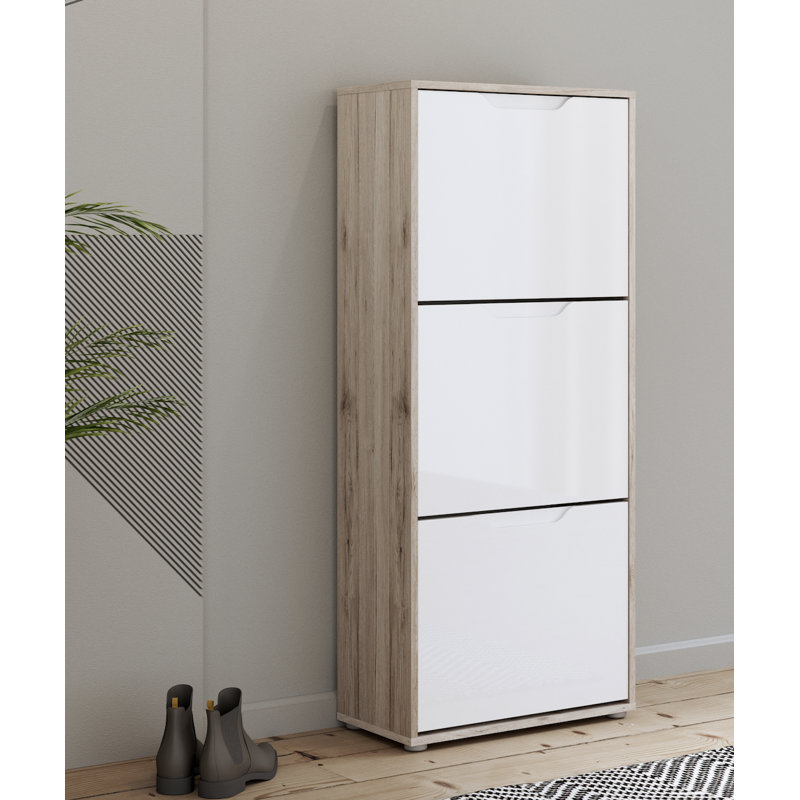 Raiana 12 Pair Shoe Storage Cabinet