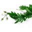 Hanging Plants 50cm Faux Philodendron Plant