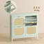 Shoe Storage Cabinet-1230823936
