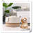 Beachcrest Home™ Fabric Decorative Basket
