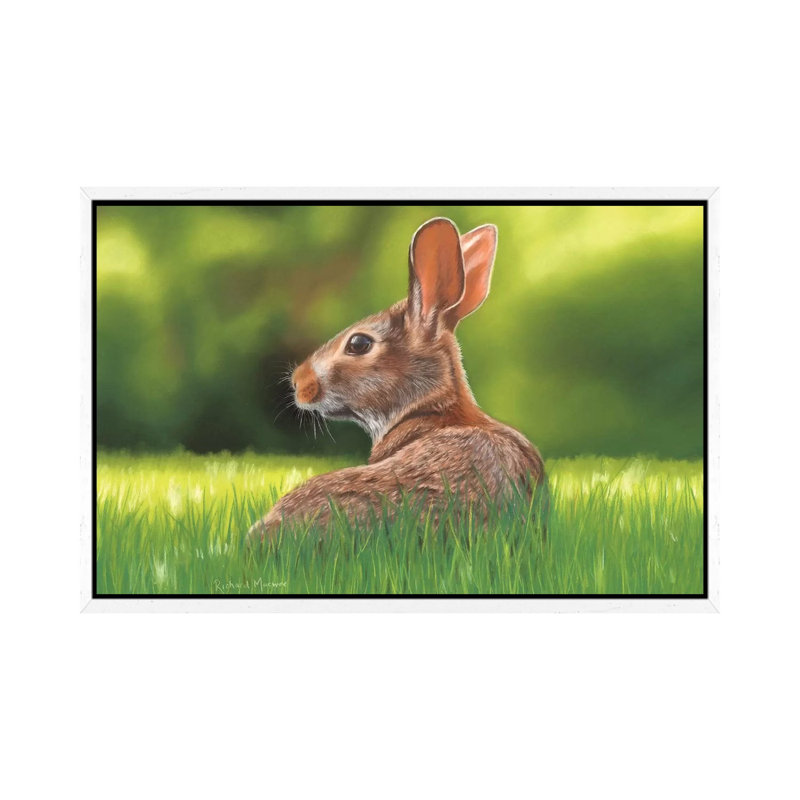 Rabbit by Richard Macwee - Gallery-Wrapped Canvas Giclée on Canvas, White Framed, 66.04 cm H x 45.72 cm W