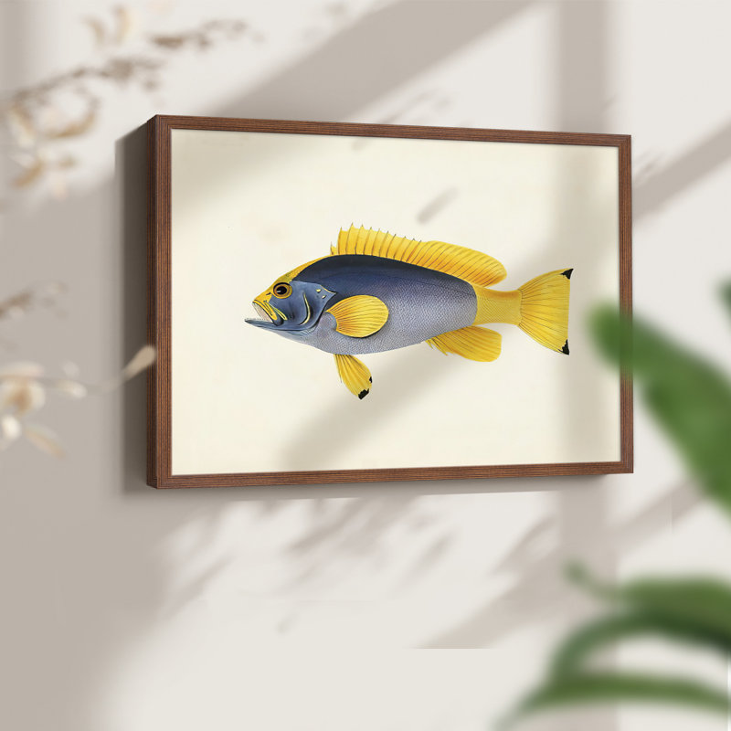 Collection de poissons tropicaux - impression encadrée en V - Restickable, H 11 po x l 14 po, Noyer