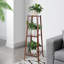 Norene Plant Stand-1579735312