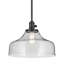 Luminaire suspendu 1 lumière 11,25 po-1461560162