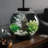 biOrb CLASSIC Aquarium with Standard LED Light-66148934