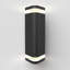 Porte noire Sauger