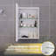 Mirrored Bathroom Cabinets Adjustable Shelves