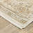 Lainey Vintage Center Medallion Beige/Gold Area Rug-1730766304
