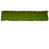 Moss