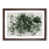 Walnut Framed selected