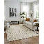 Akash Rectangle Area Rug in Ivory-376908776