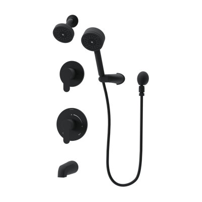 Identity HydroMersion Double Handle Tub and Shower System