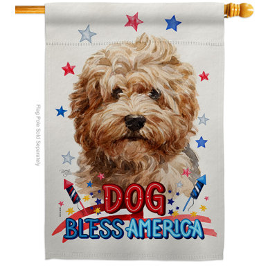 Drapeau de maison patriotique à poils longs en polyester 40 x 28 pi Havanais