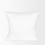 Insert de coussin carré Plume-1688753424-1676496801