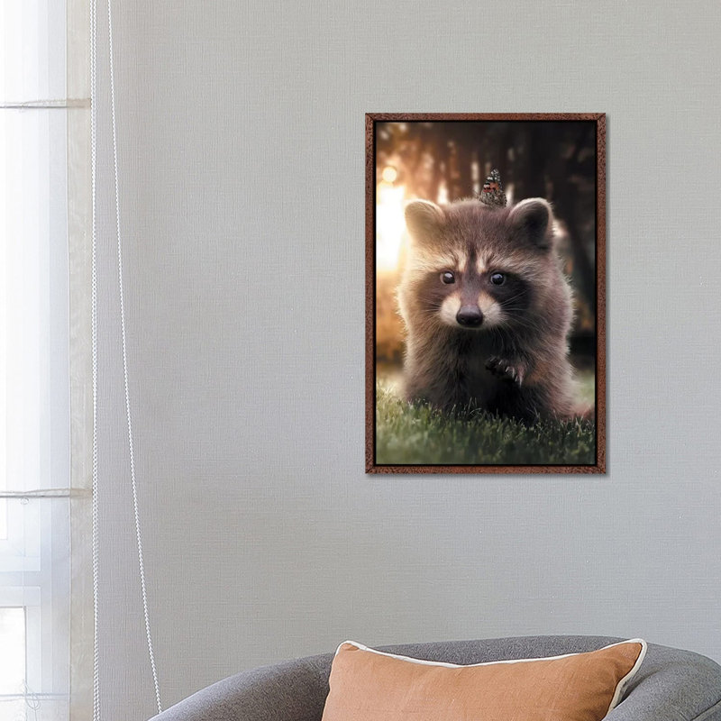 Raccoon Butterfly by Zenja Gammer - Print on Canvas, Classic Brown Wood Framed, 66.04 cm H x 45.72 cm W