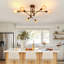 Modern 71cm Bronze 6-Light Sputnik Iron Flush Mount Ceiling Light