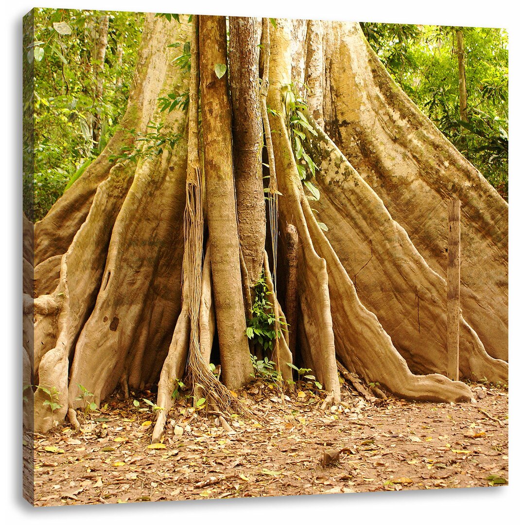 Leinwandbild Mächtiger Urwald Baum