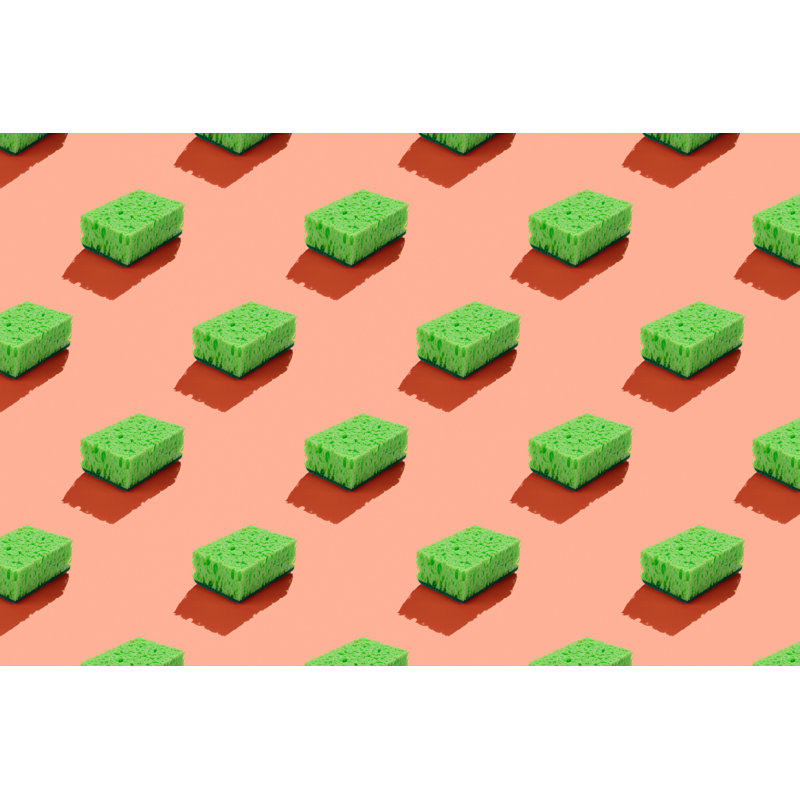Washing Sponge - Wrapped Canvas Print, 30cm H x 46cm W x 3.8cm D
