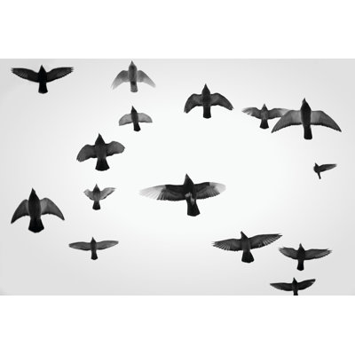 In The Skies I by Martin Henson - Wrapped Canvas Print