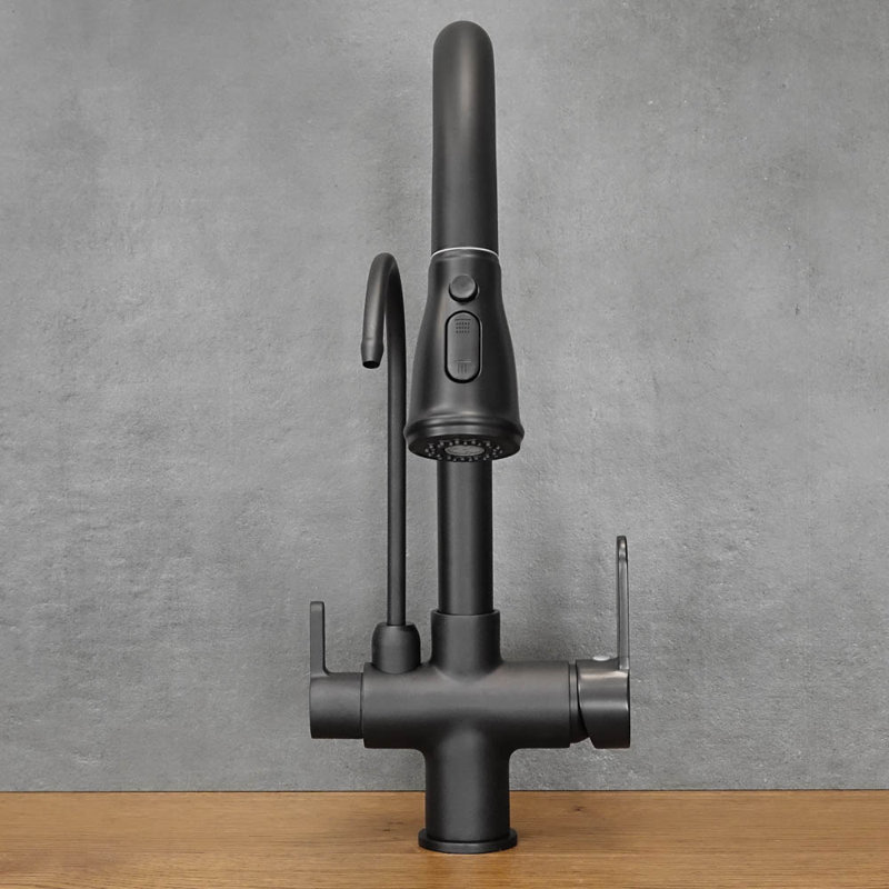Belfry Kitchen Kitchen Faucet, Black