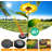 Low Voltage Solar Powered Integrated LED Pathway Light Pack
