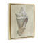 Toile de coquillage brun clair avec toile de coquillage noir, conception par Michael Willett-505691204-506048827