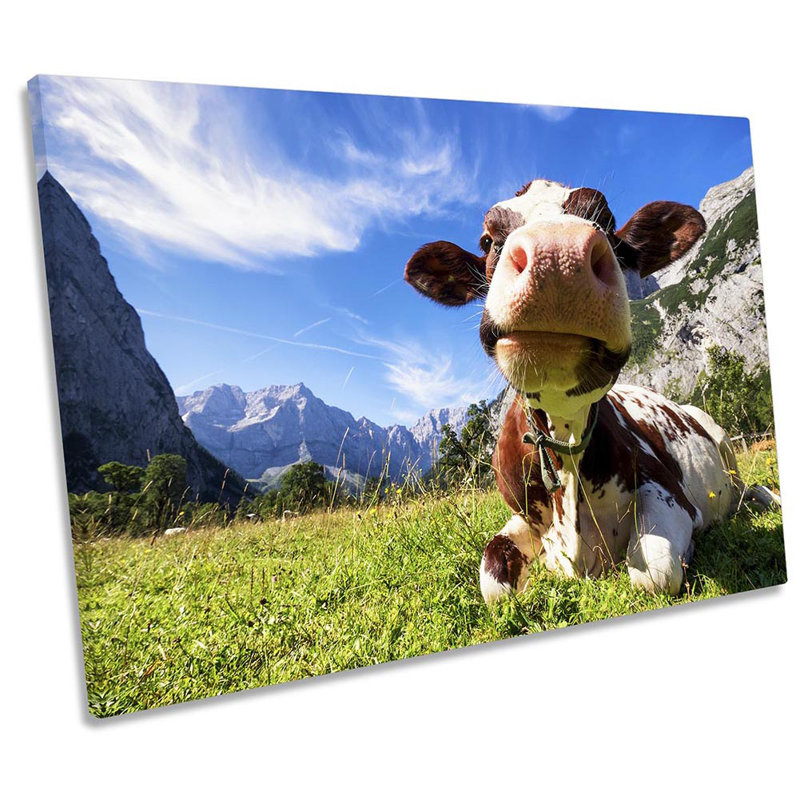 Mountain Cow - Wrapped Canvas Print, 30.5cm H x 45.7cm W